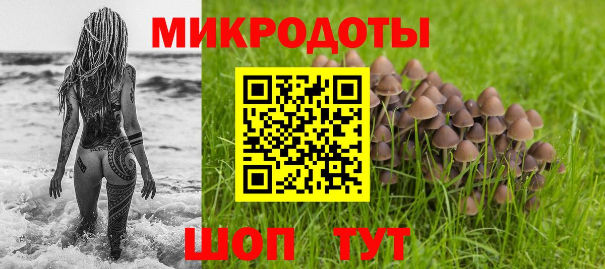 Псилоцибиновые грибы прущие грибы  где найти наркотики  Нижнеудинск  Вход с VPN 