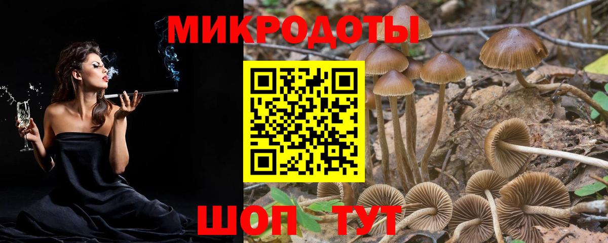 Галлюциногенные грибы мицелий Нижнеудинск